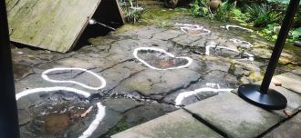 Dinosaur tracks