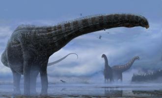 Hypothetical life restoration of MOR 7029