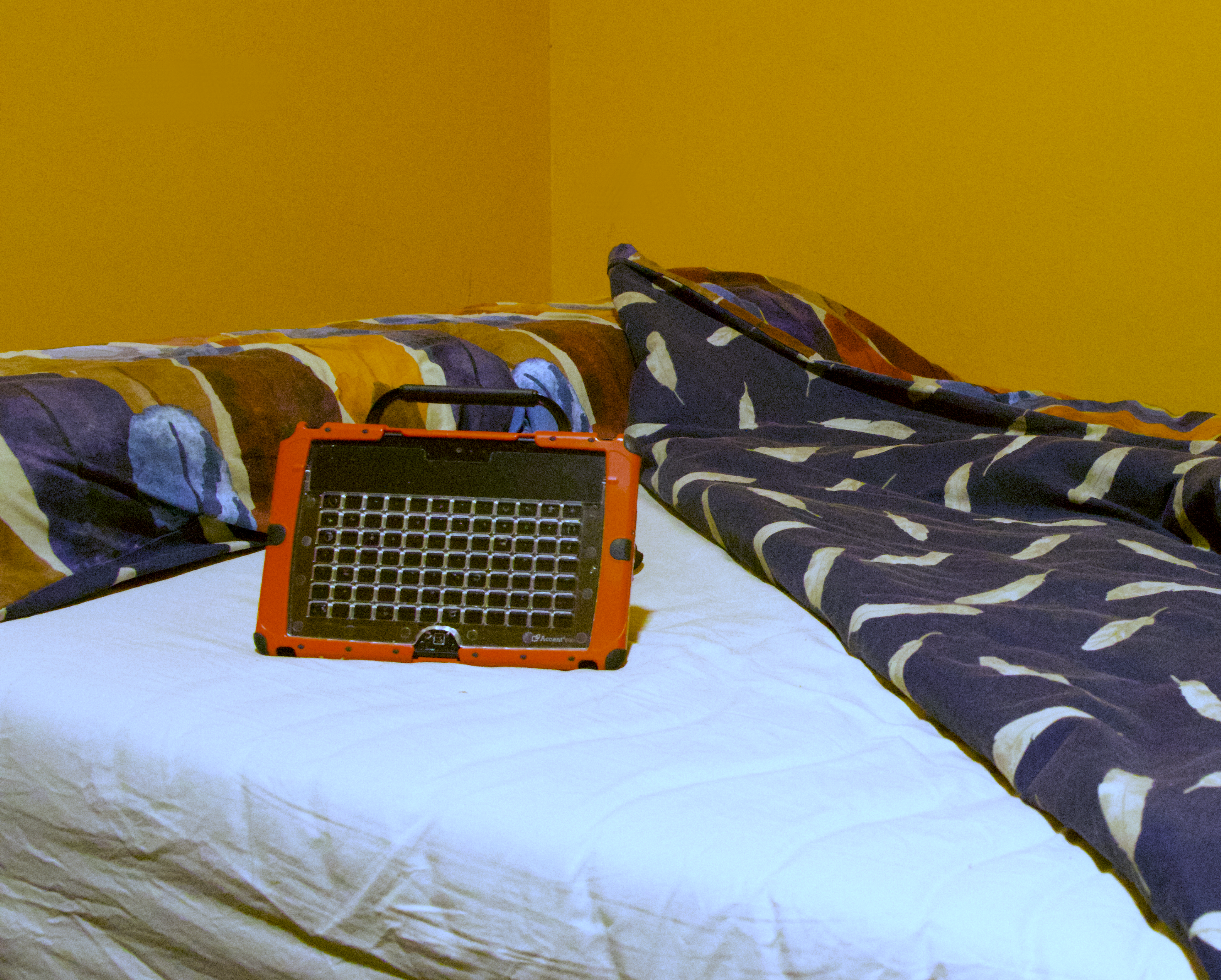 Dr Melinda Smith, Flinders University