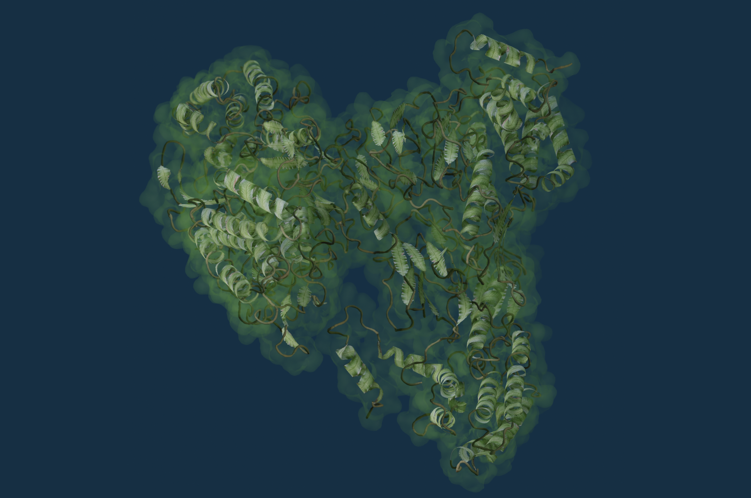 Brady Johnson, University of Western Australia - brady.johnston@uwa.edu.au