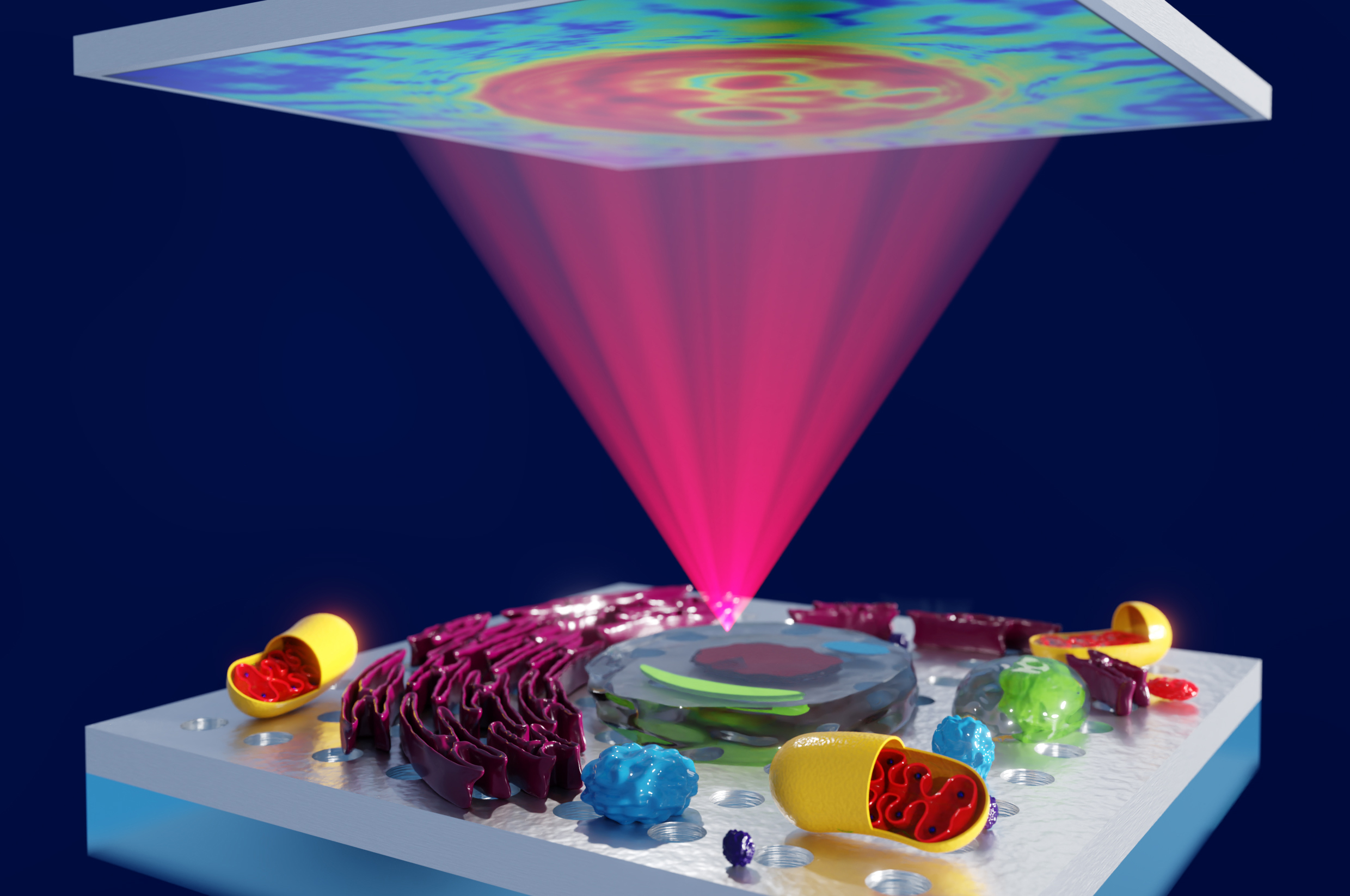 Concept art showing plasmon-enhanced phase microscopy. This new method will enable ultra-sensitive imaging of highly optically transparent objects in fields ranging from materials science to medical imaging