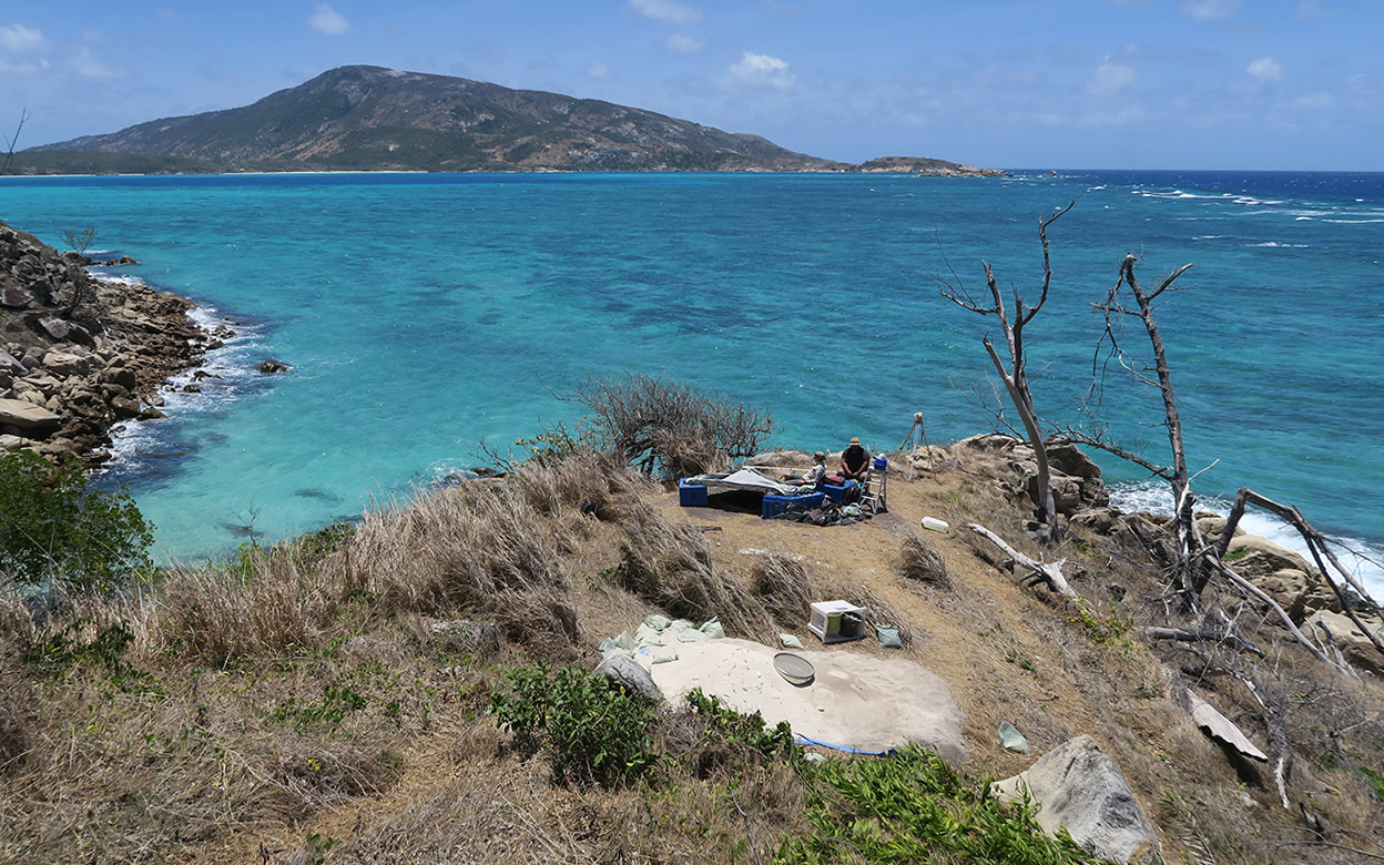 A view across the archaeological excavation to Blue Lagoon and reef flat. Image credit: Ian McNiven.