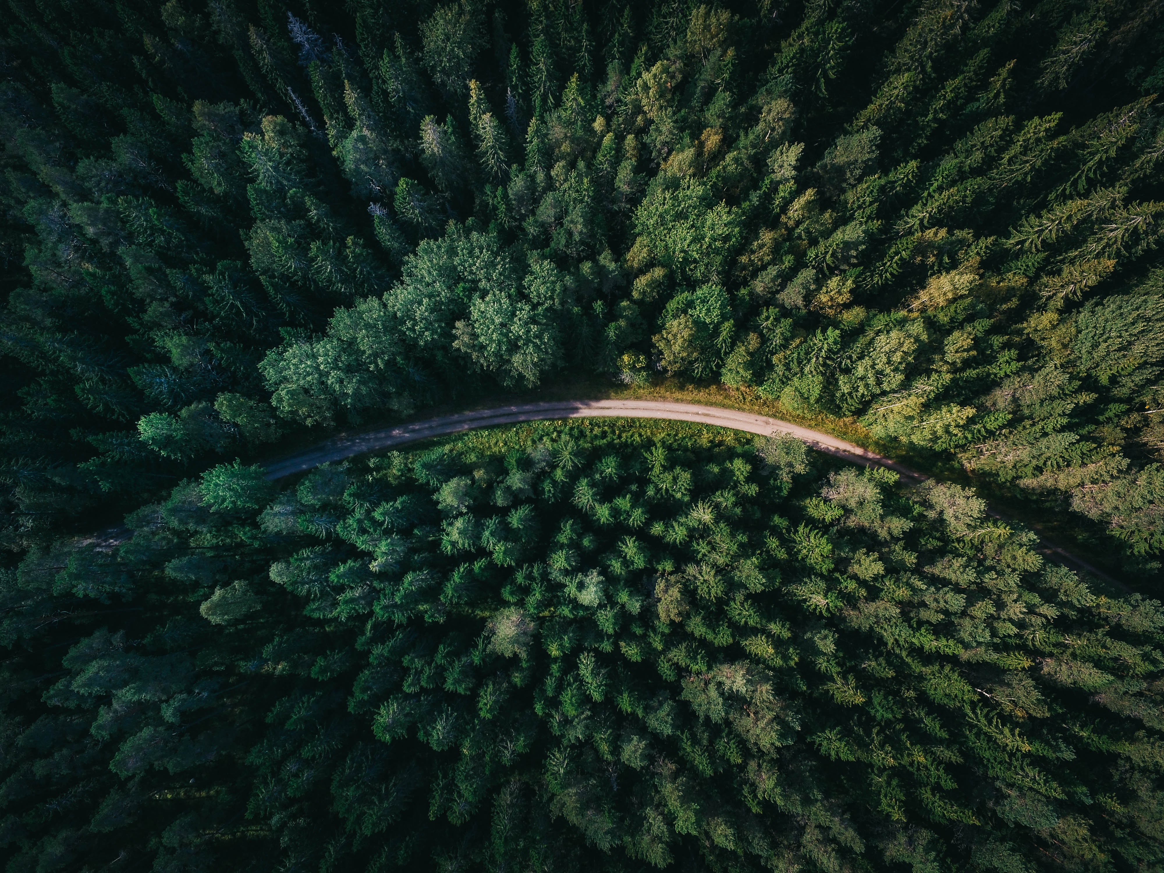 Photo by Geranimo on Unsplash