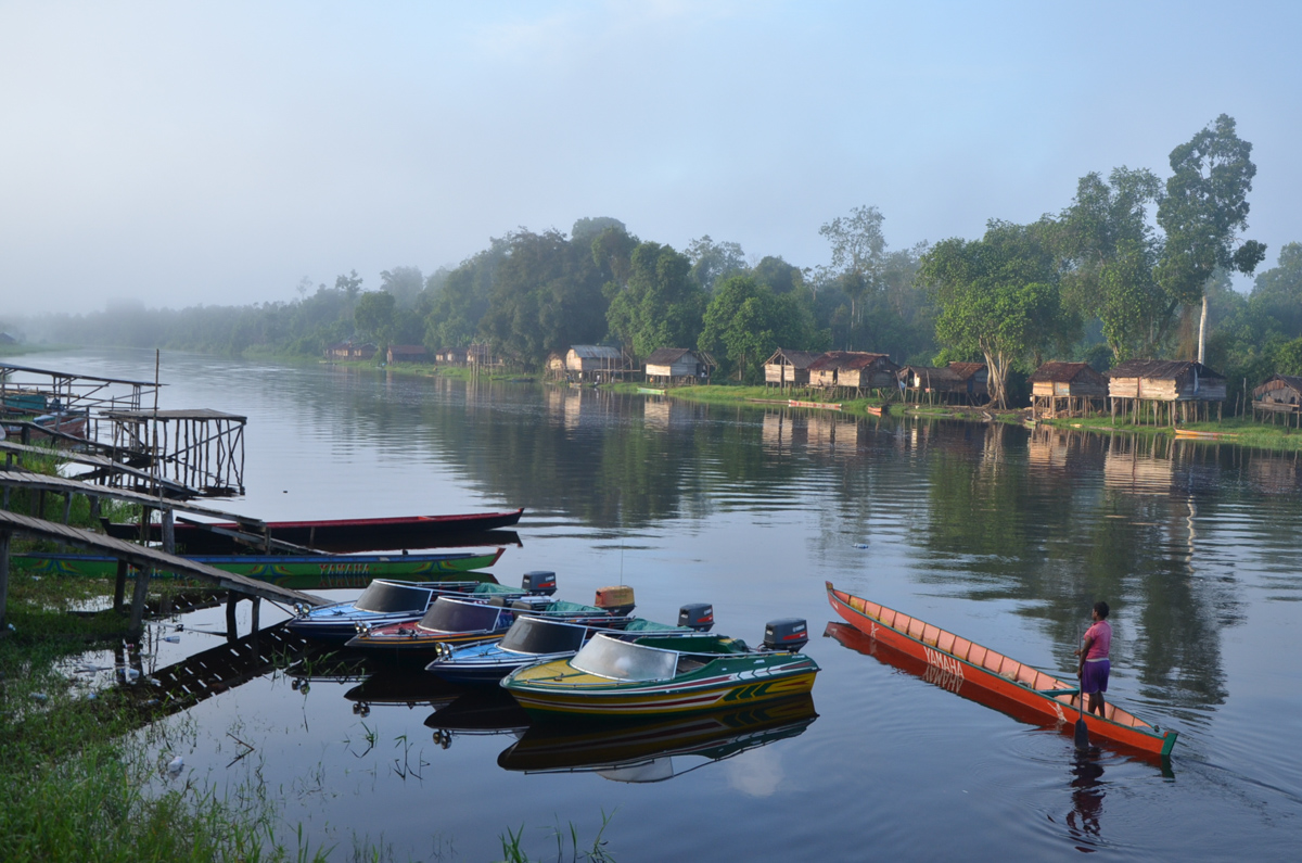 Senggo Village, Mappi Regency, Papua, Indonesia. Credit: Gludhug Purnomo.