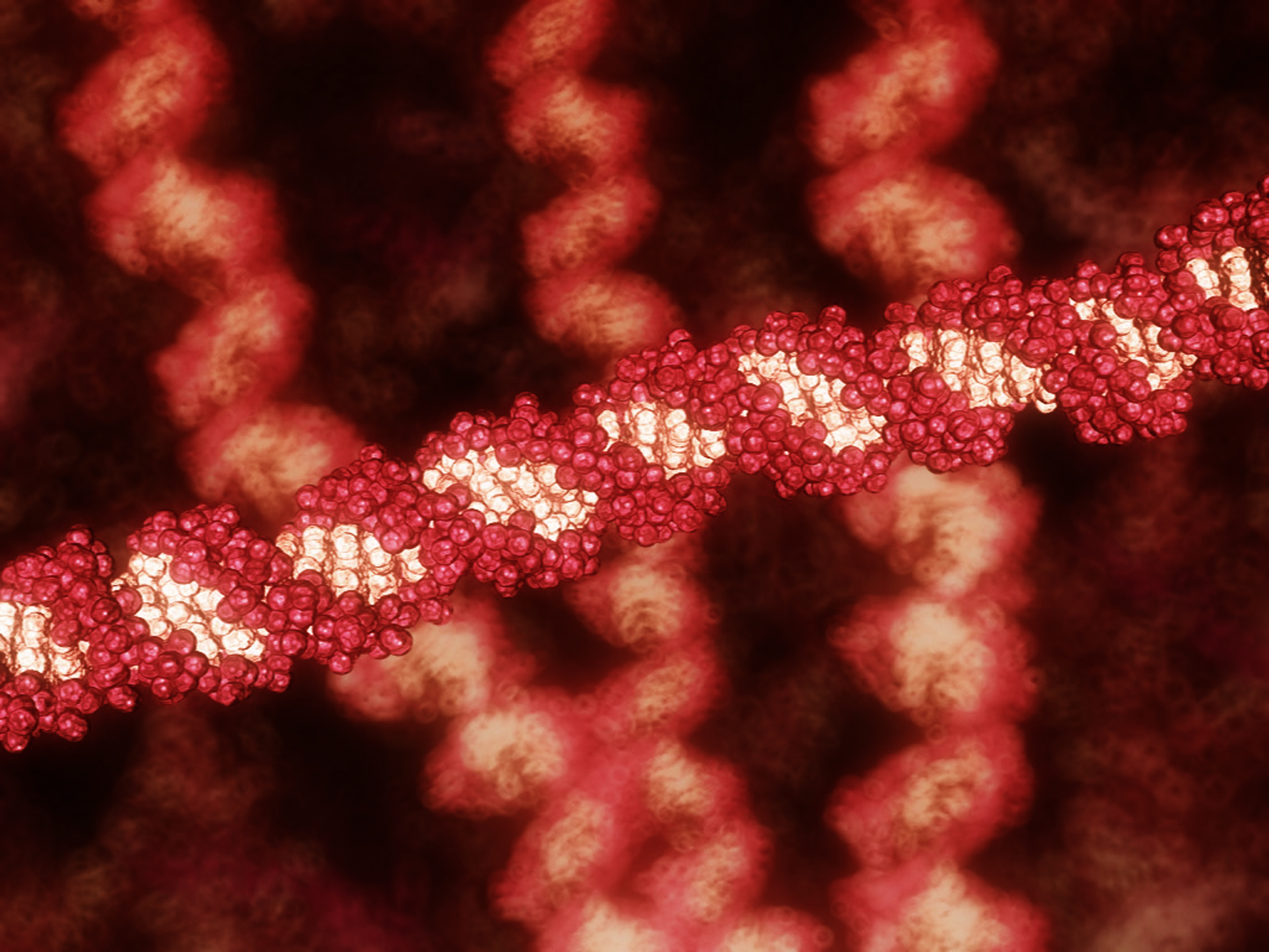 A string of DNA, shown in a still from the WEHI.TV animation "Body Code". Credit: WEHI