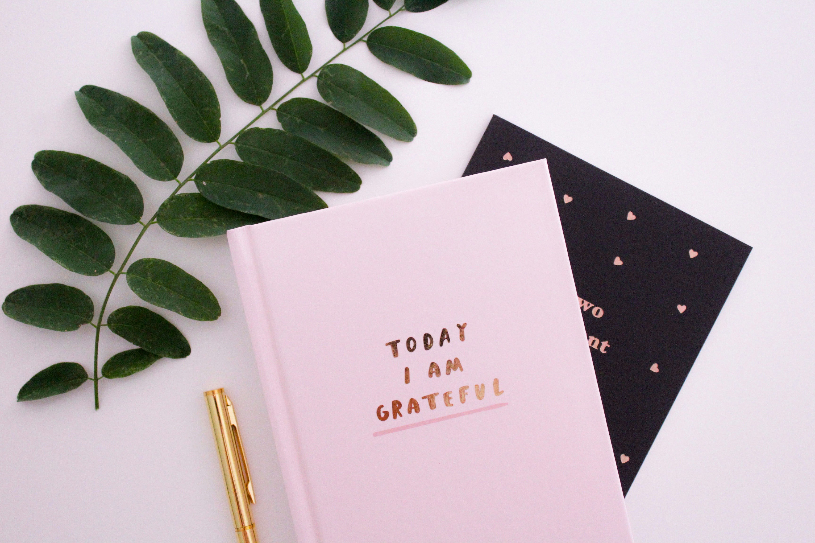 Photo by Gabrielle Henderson on Unsplash