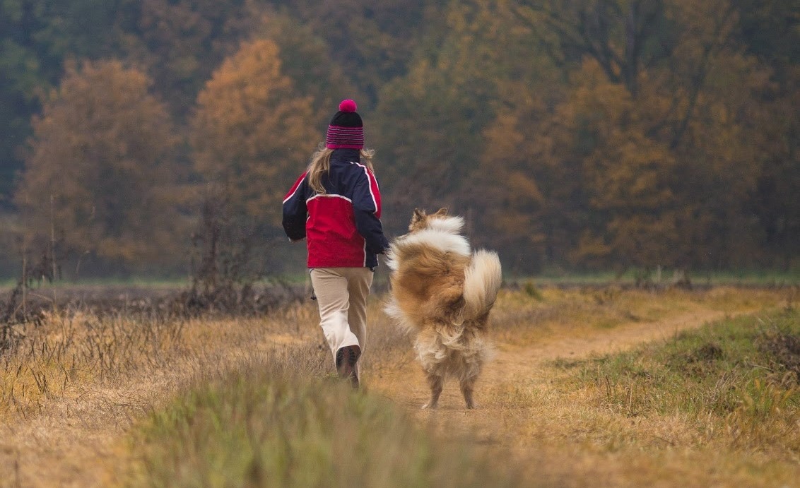 Kanashi, Unsplash,  CC0 