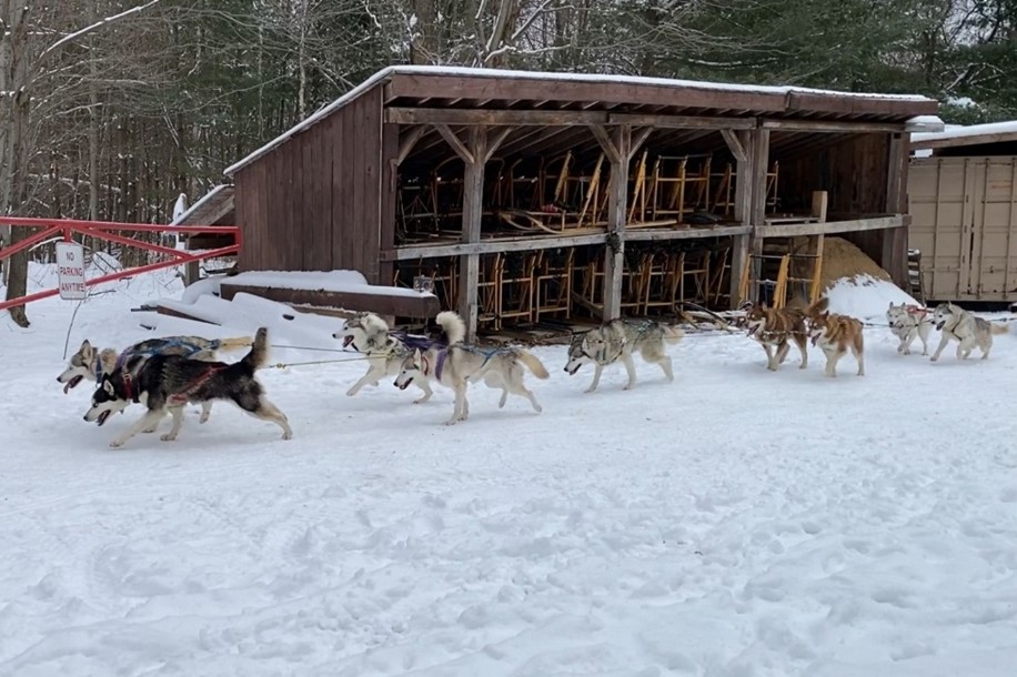 Ming Fei Li, CC-BY 4.0 (https://creativecommons.org/licenses/by/4.0/) 