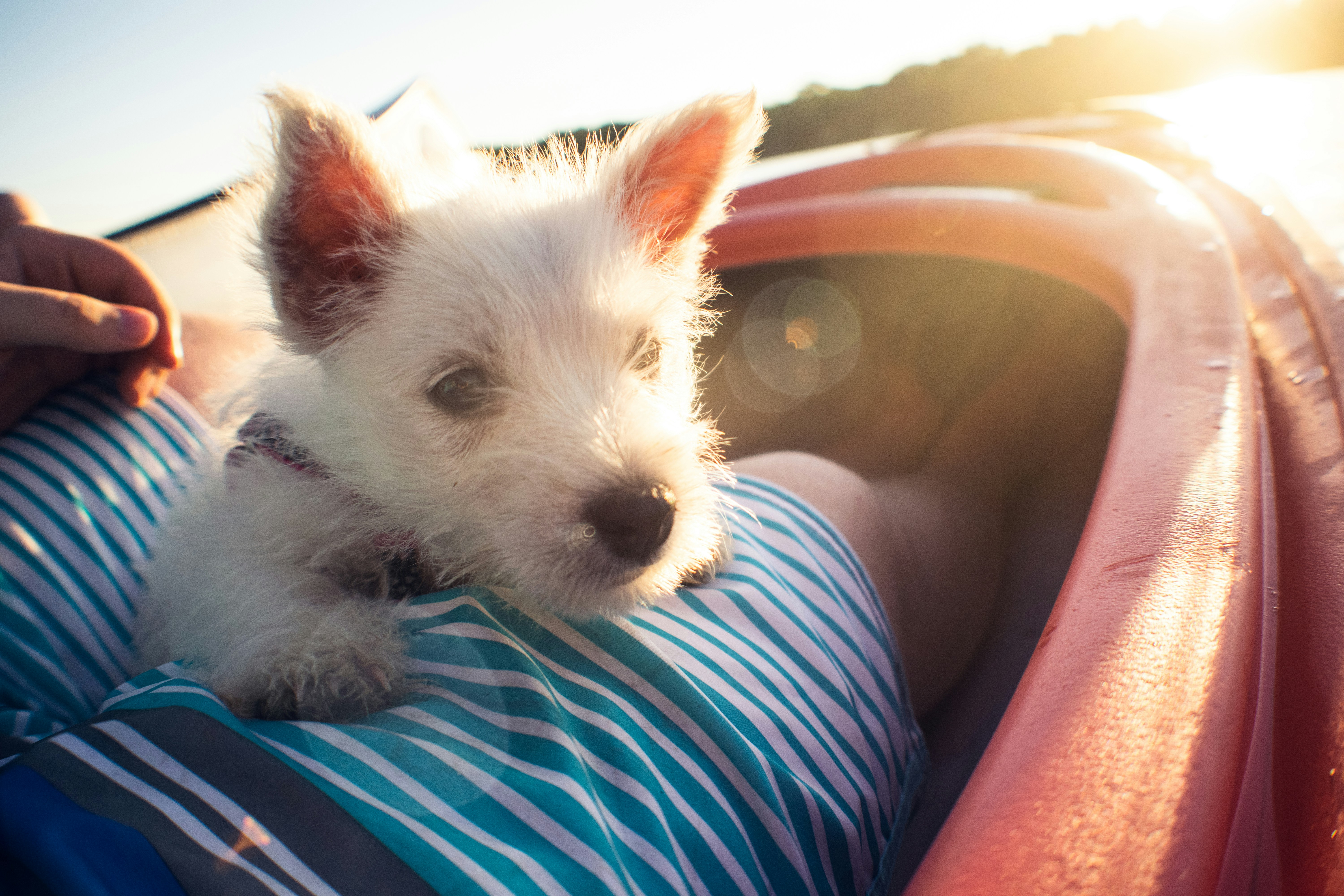 Photo by Alain Pichot on Unsplash