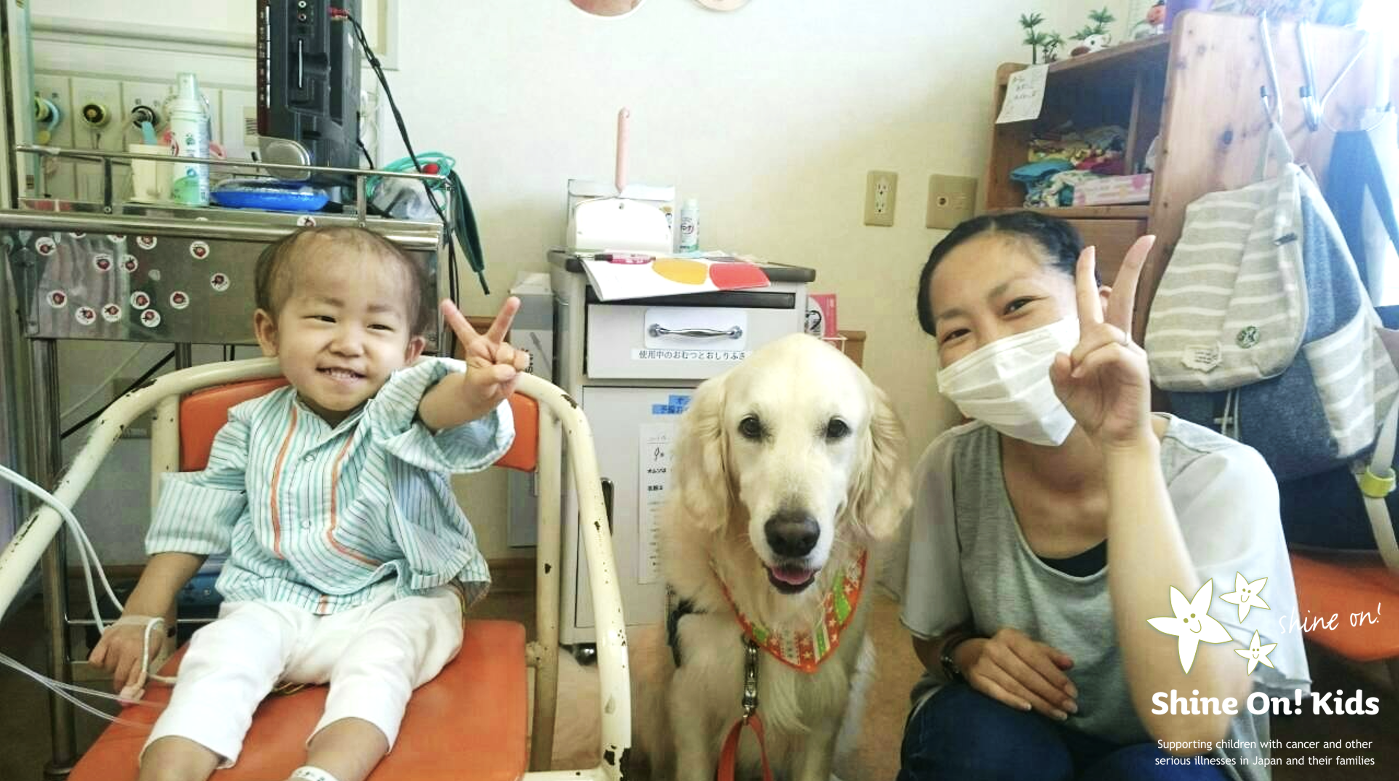 Photo of Yogi, a facility dog who worked at Shizuoka Children's Hospital during the study period. Visiting the bedside where a patient's child (left) and mother (right) spend time.  Specified Nonprofit Organization Shine On Kids, CC-BY 4.0 (https://creativecommons.org/licenses/by/4.0/) 