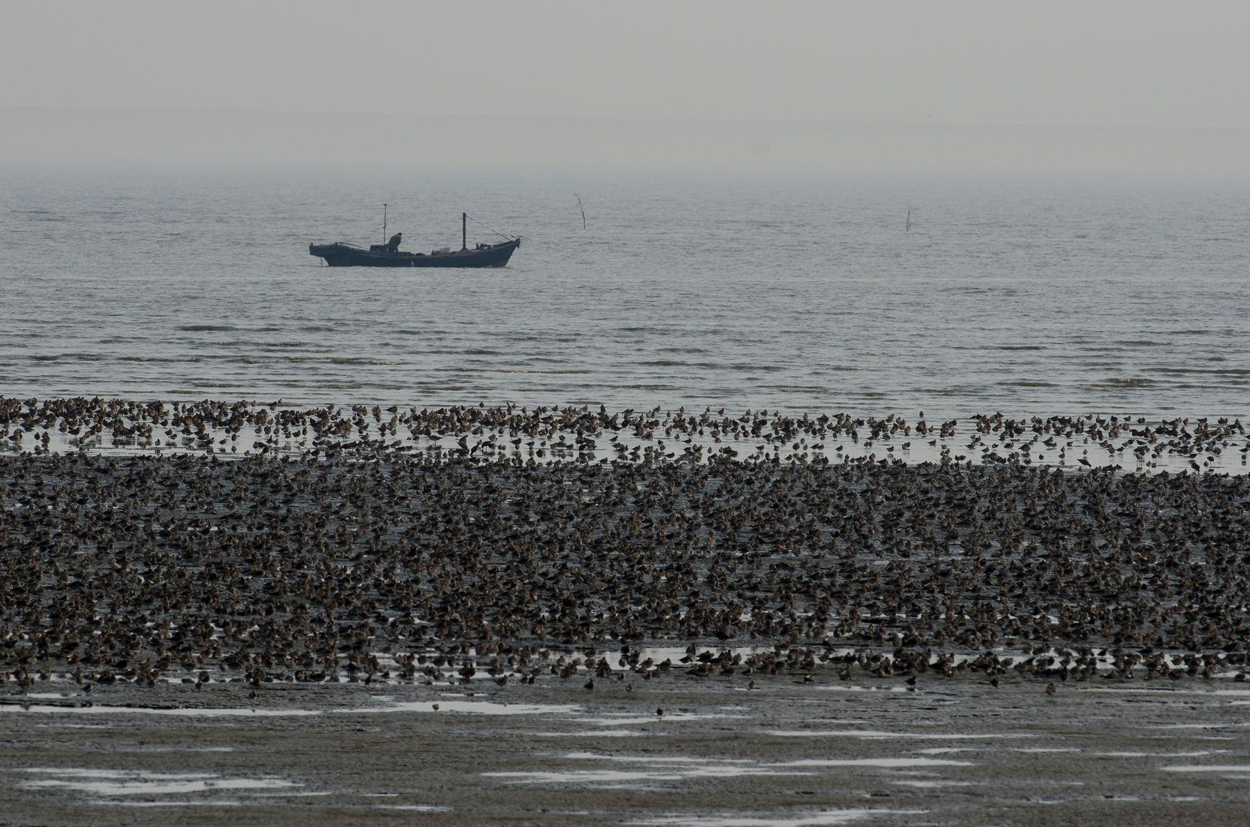 Wetlands in China. Image: Nicholas Murray