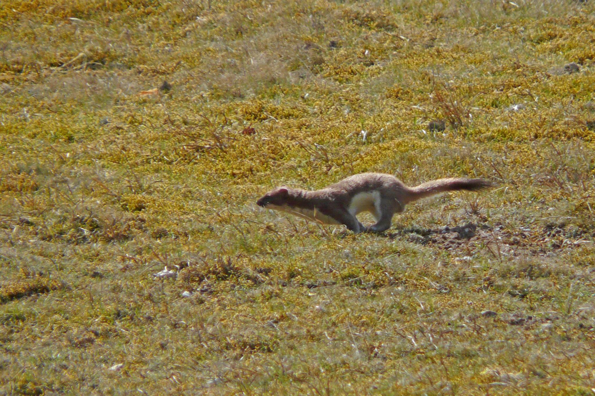 Alastair Rae on Flickr