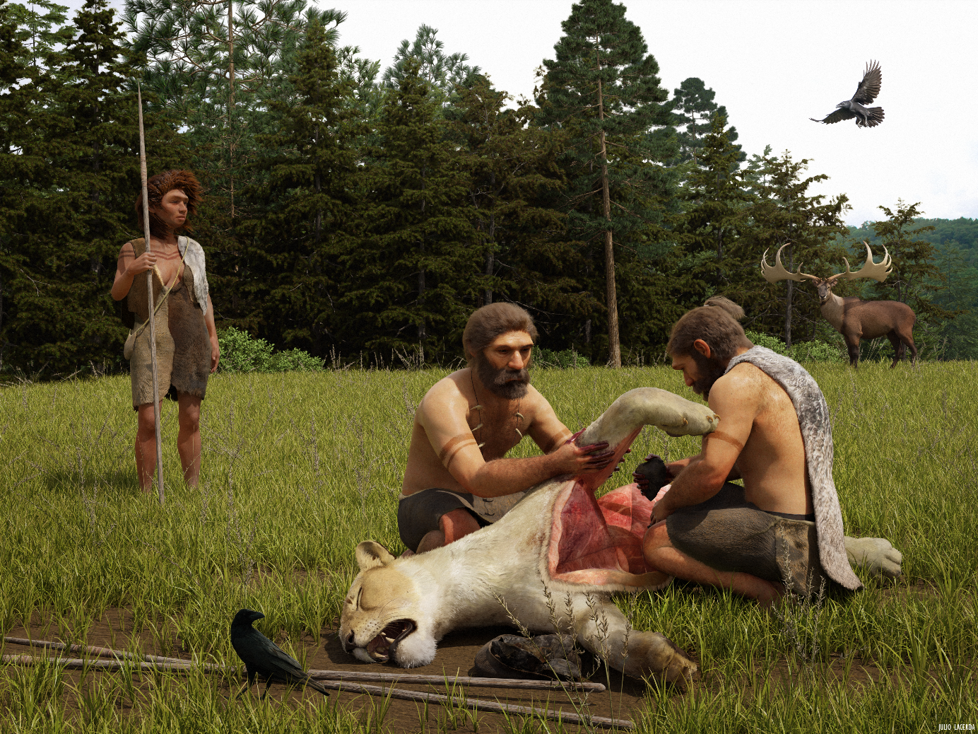 Neanderthals butchering the freshly killed cave lion from Siegsdorf. Credit: Graphics by Julio Lacerda. ©NLD