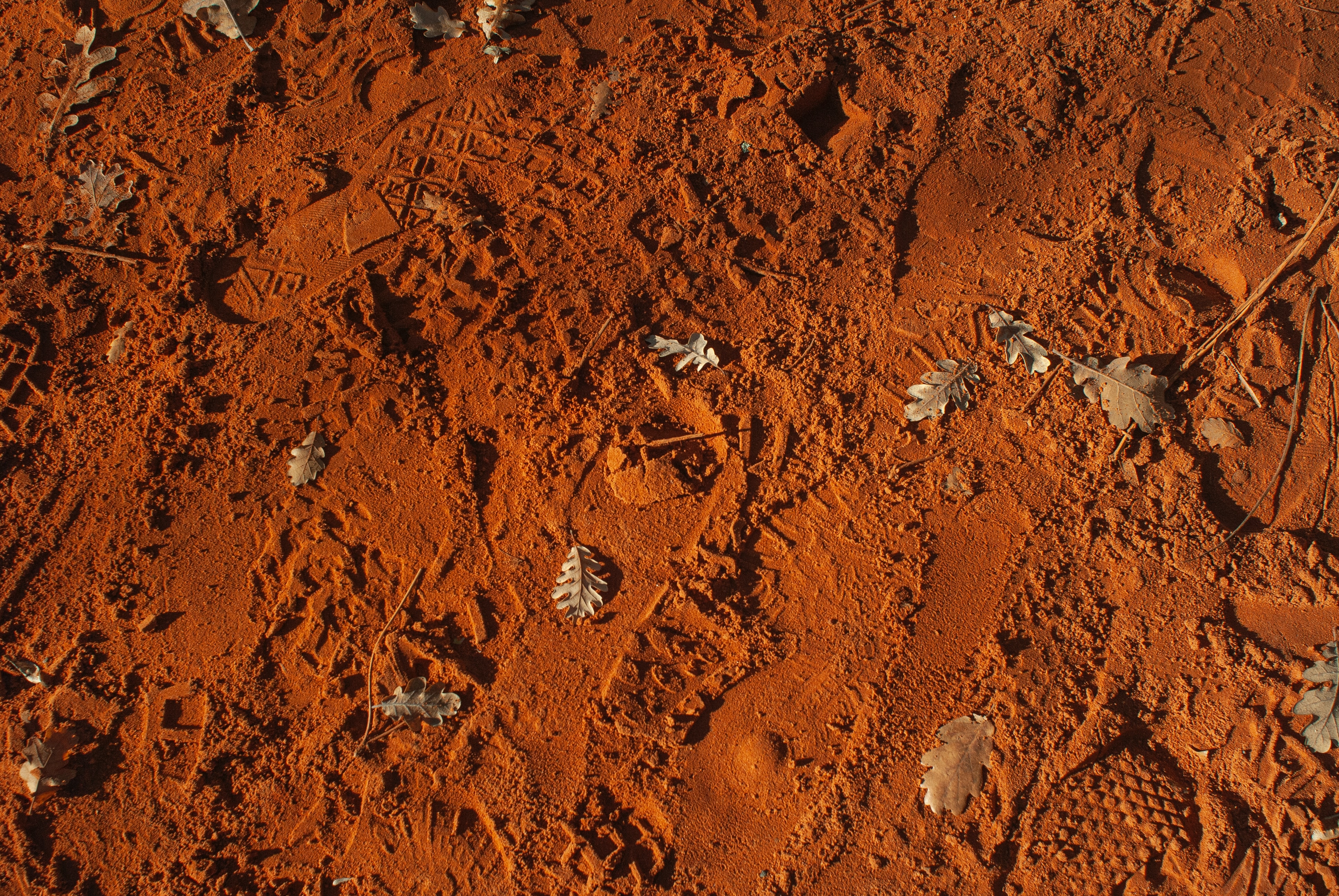 Photo by Egor Myznik on Unsplash