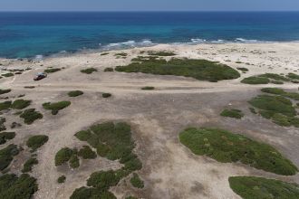 Drouseia Skloinikia, the newest archaeological site in western Cyprus