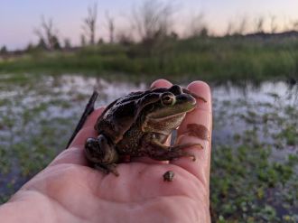 Conservation workers in the field 