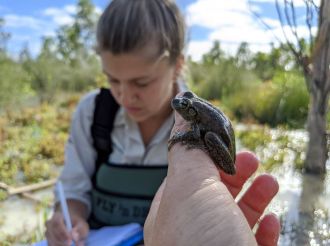 Conservation workers in the field 