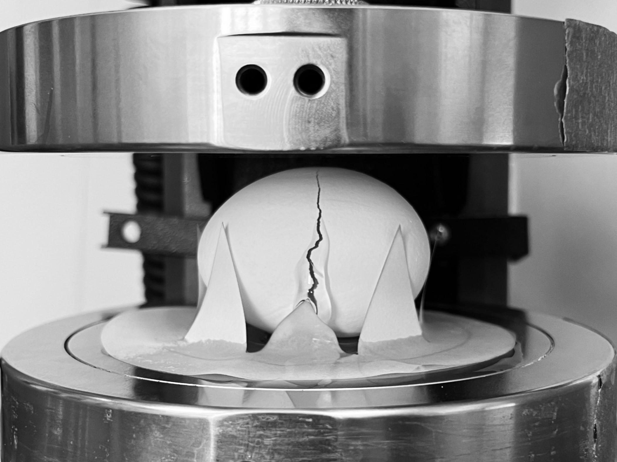 A cracked egg after a horizontal static test. Credit: Tal Cohen et al. / Scientific Reports 