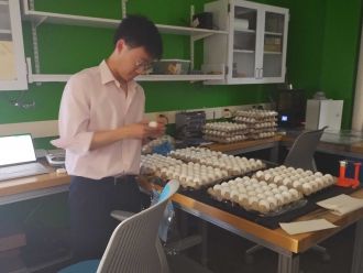 Measuring eggs before egg drop tests