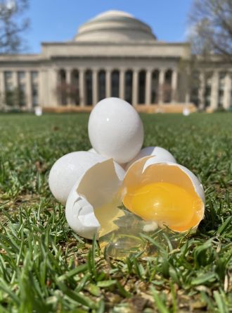 Some eggs from the experiment in front of the Great Dome at MIT