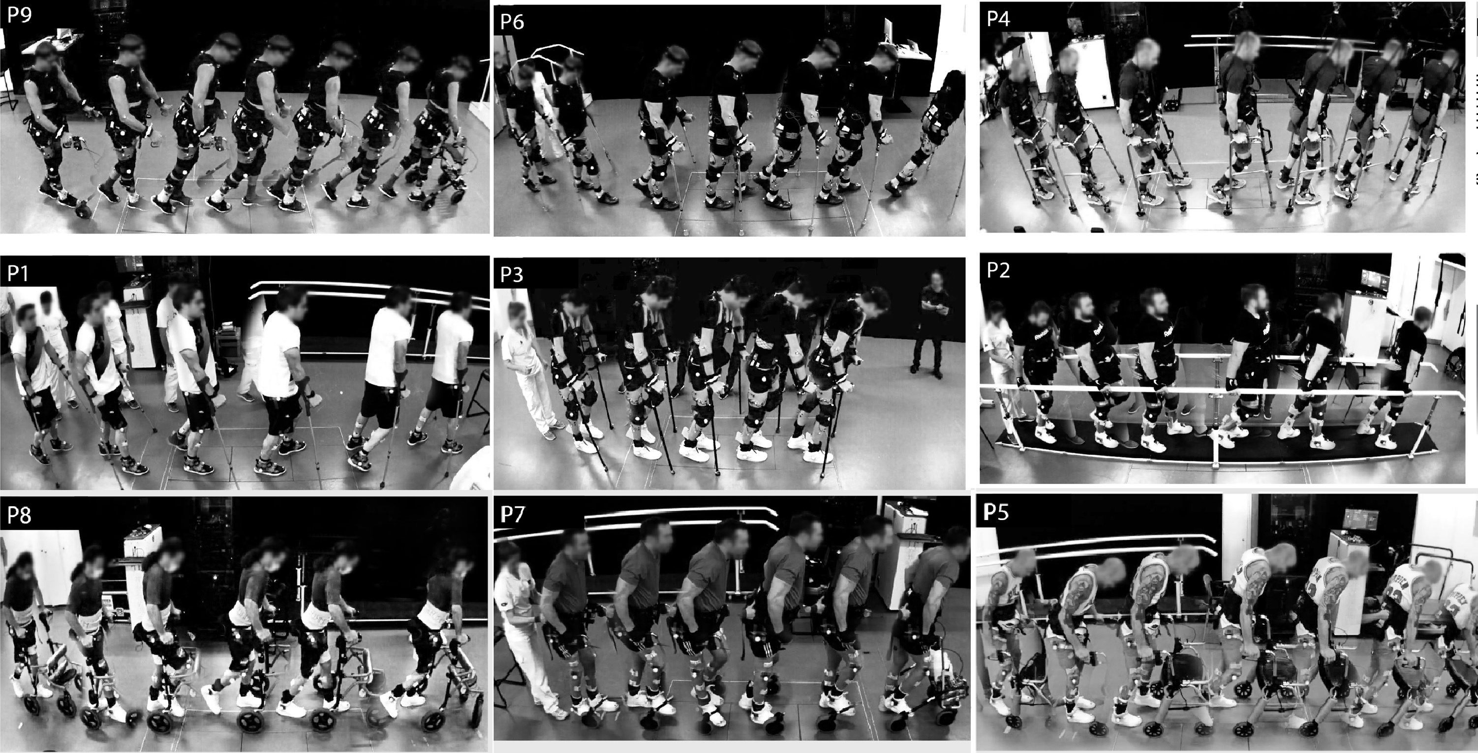 Adapted from Extended Figure 1 in paper. Credit: Courtine, et al. (2022)