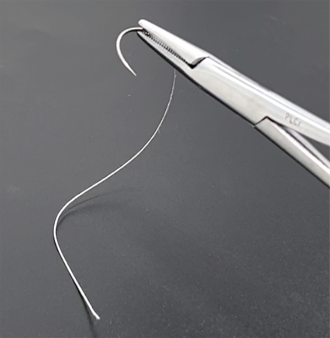 A photograph of the bioabsorbable electrical stimulation suture (BioES-suture)