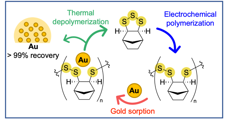 courtesy Chalker Lab