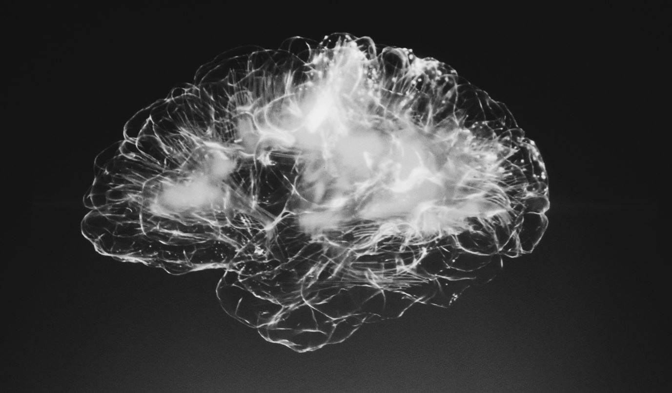 CC-0. https://unsplash.com/photos/a-black-and-white-photo-of-a-brain-tEVGmMaPFXk