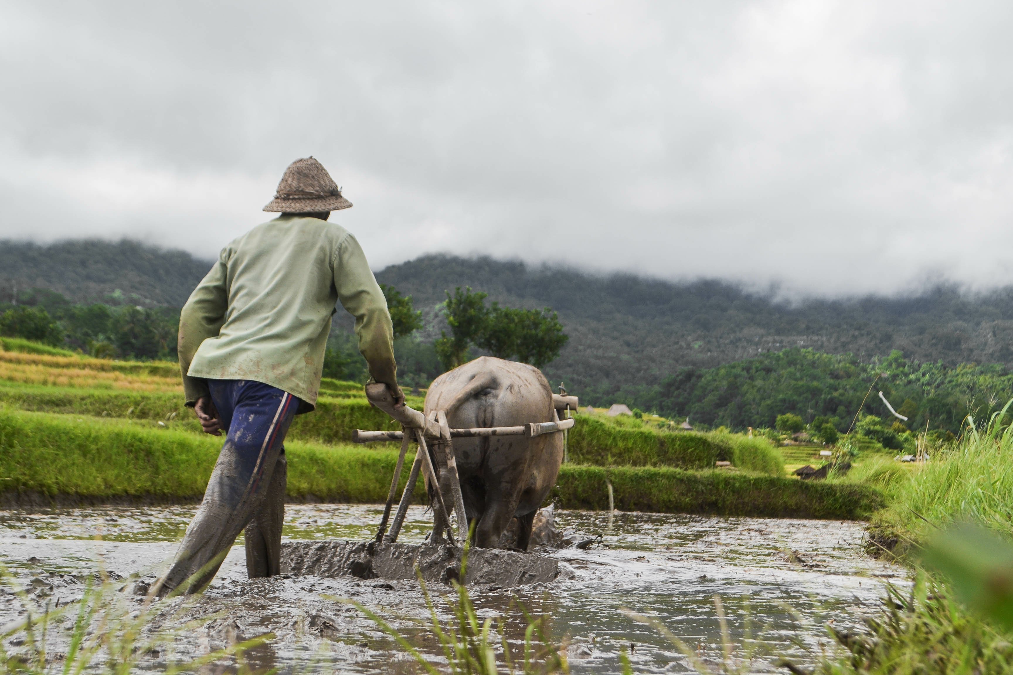 Credit: Adobe Stock by Christian.