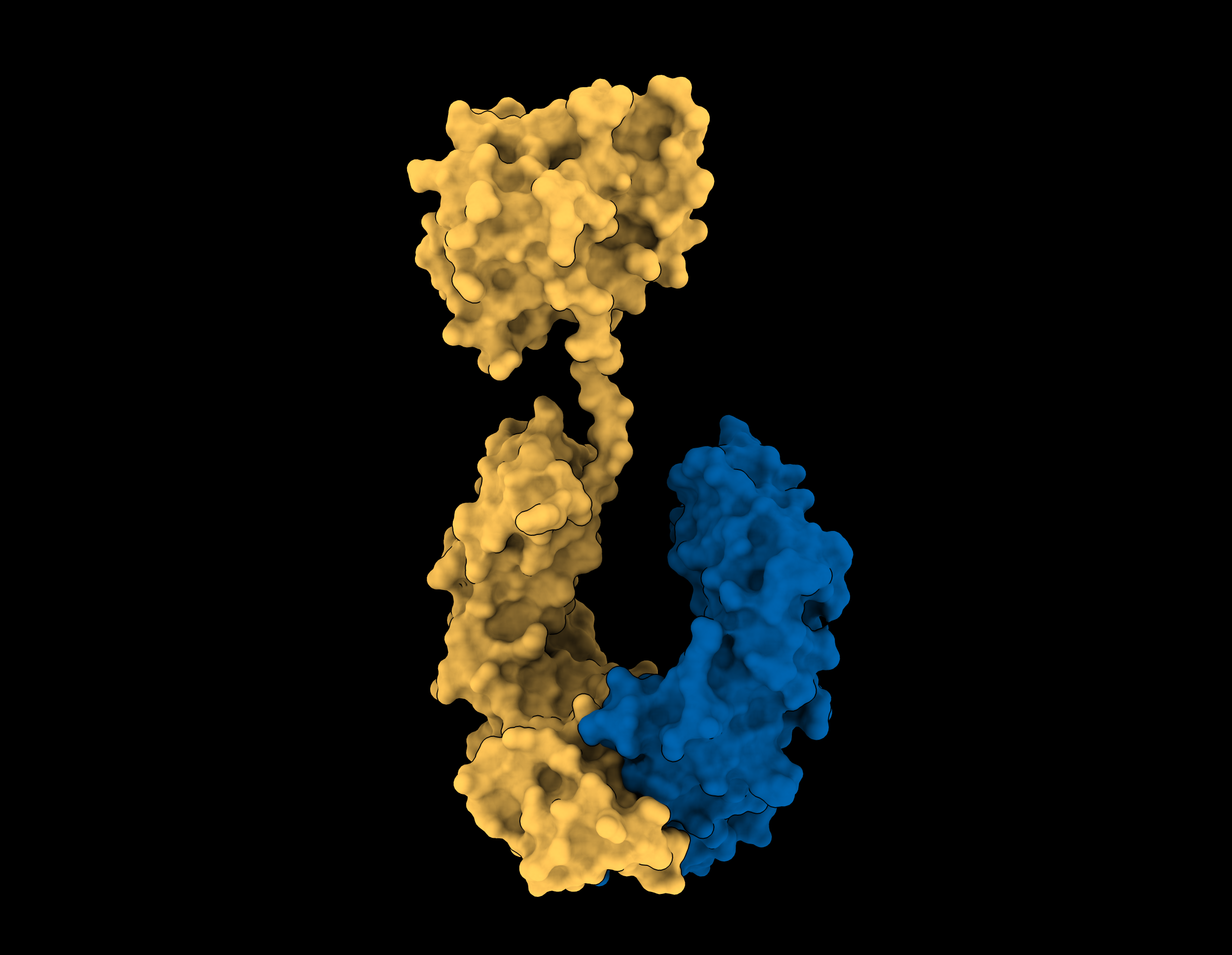 Interleukin-37.  (C) Monash BDI