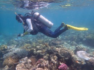 Emily Howells surveying Great Barrier Reef coral colonies_credit Grant Cameron