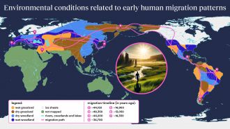 Infographic