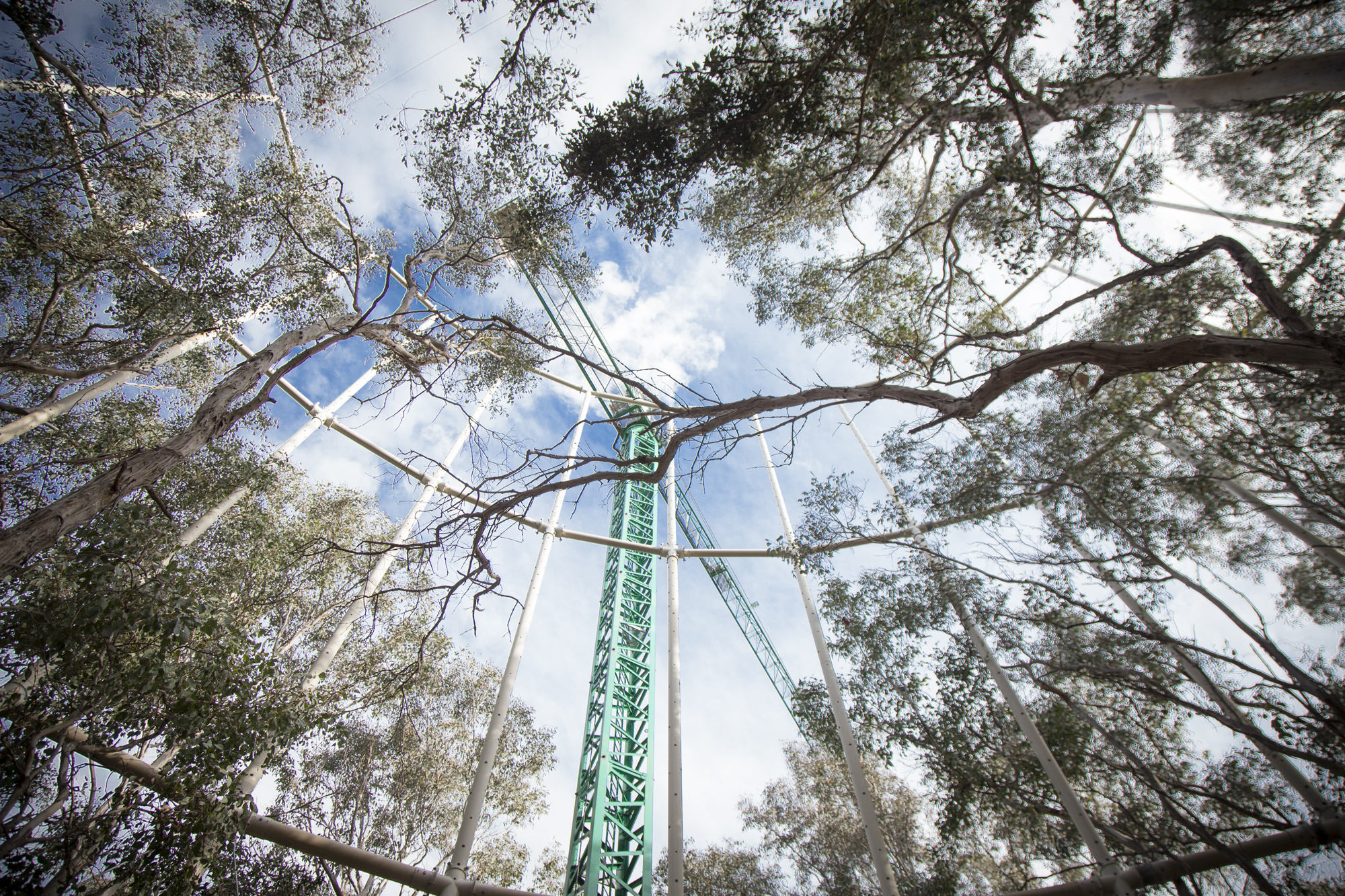 Western Sydney University’s Eucalyptus Free Air CO2 Enrichment (EucFACE) experiment, Australia's largest climate change research project. Image credit: Sally Tsoutas.