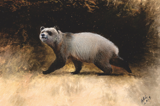 Reconstruction of A. nikolovi sp. nov. from Bulgaria.