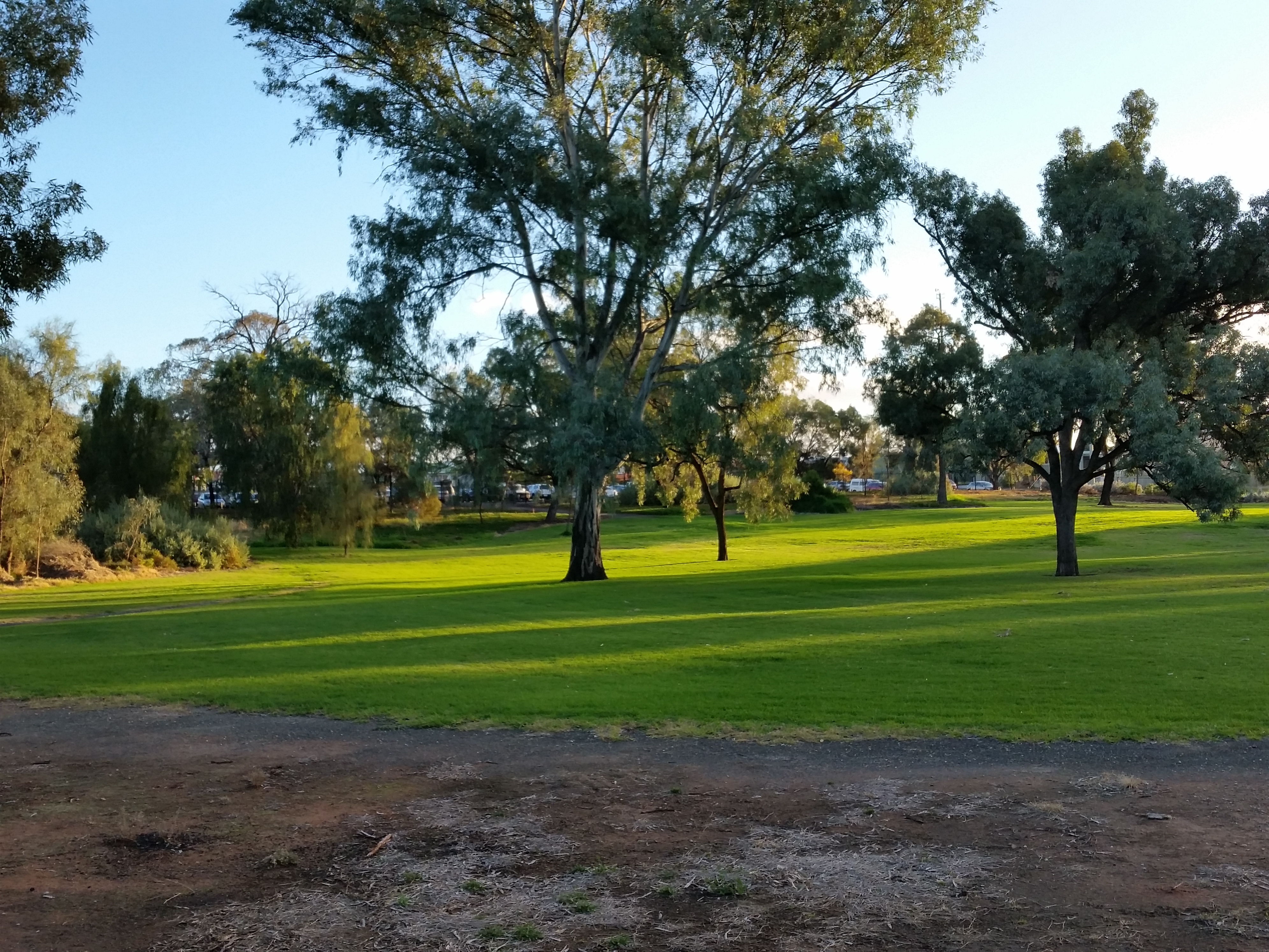 Ornamental Lakes Park in Mildura, Victoria, was one of the international parks and gardens found to harbour important microbes. Photo: Shutterstock.studied and . Photo: David Eldridge.