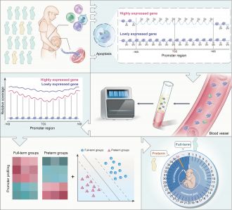 Predicting preterm birth