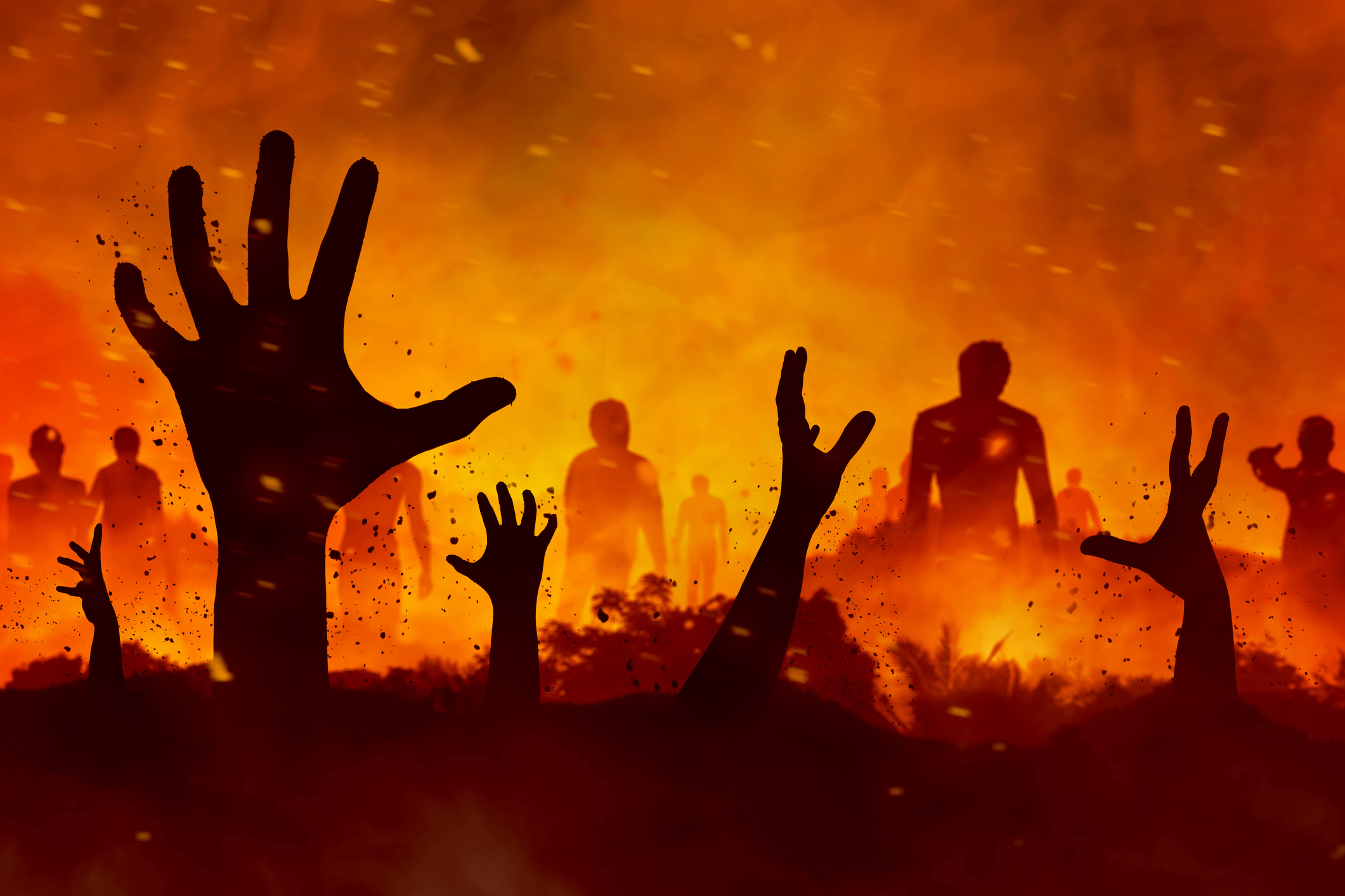 Getty Images 