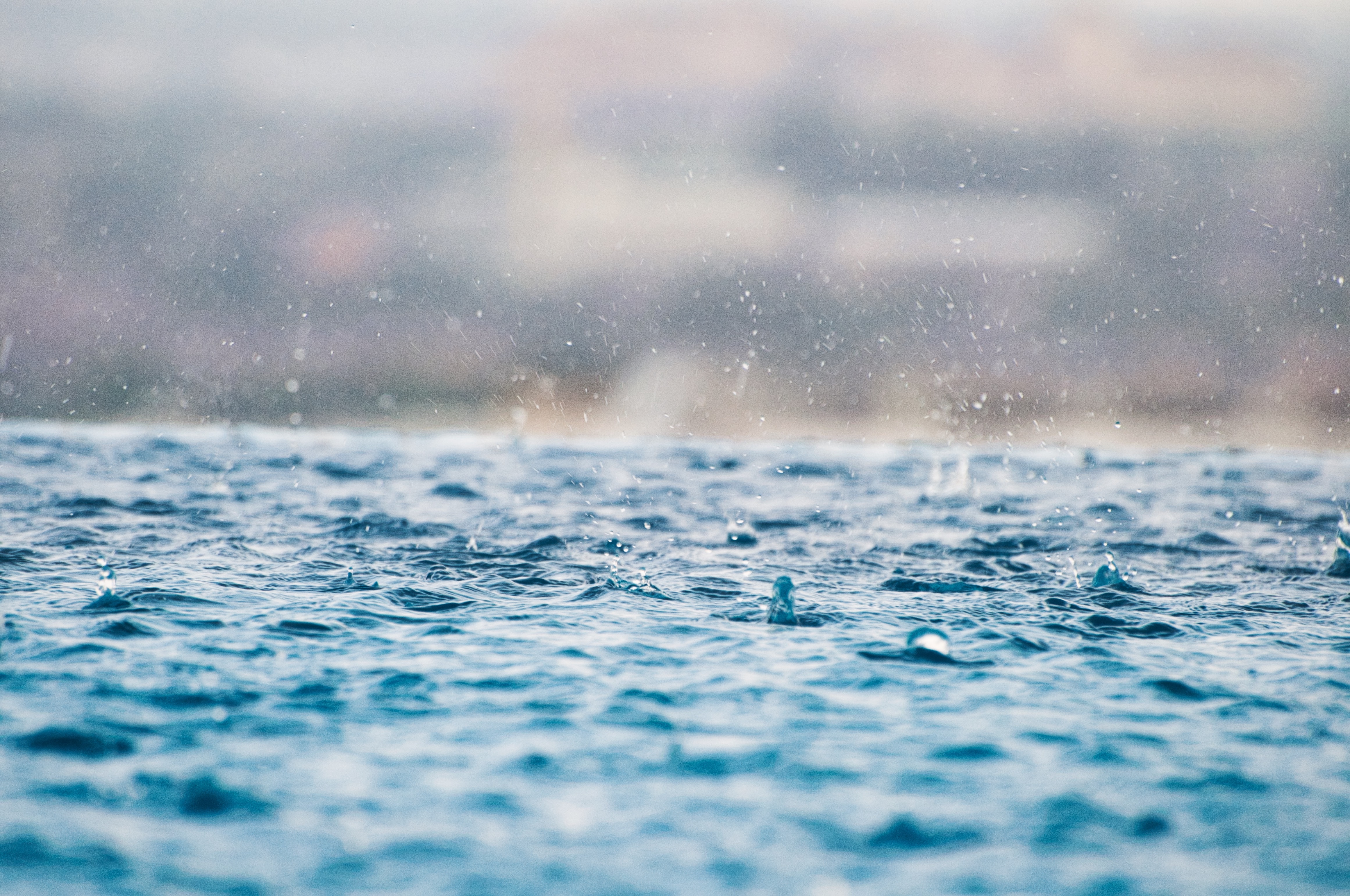 Photo by Max on Unsplash Photo by Max on Unsplash