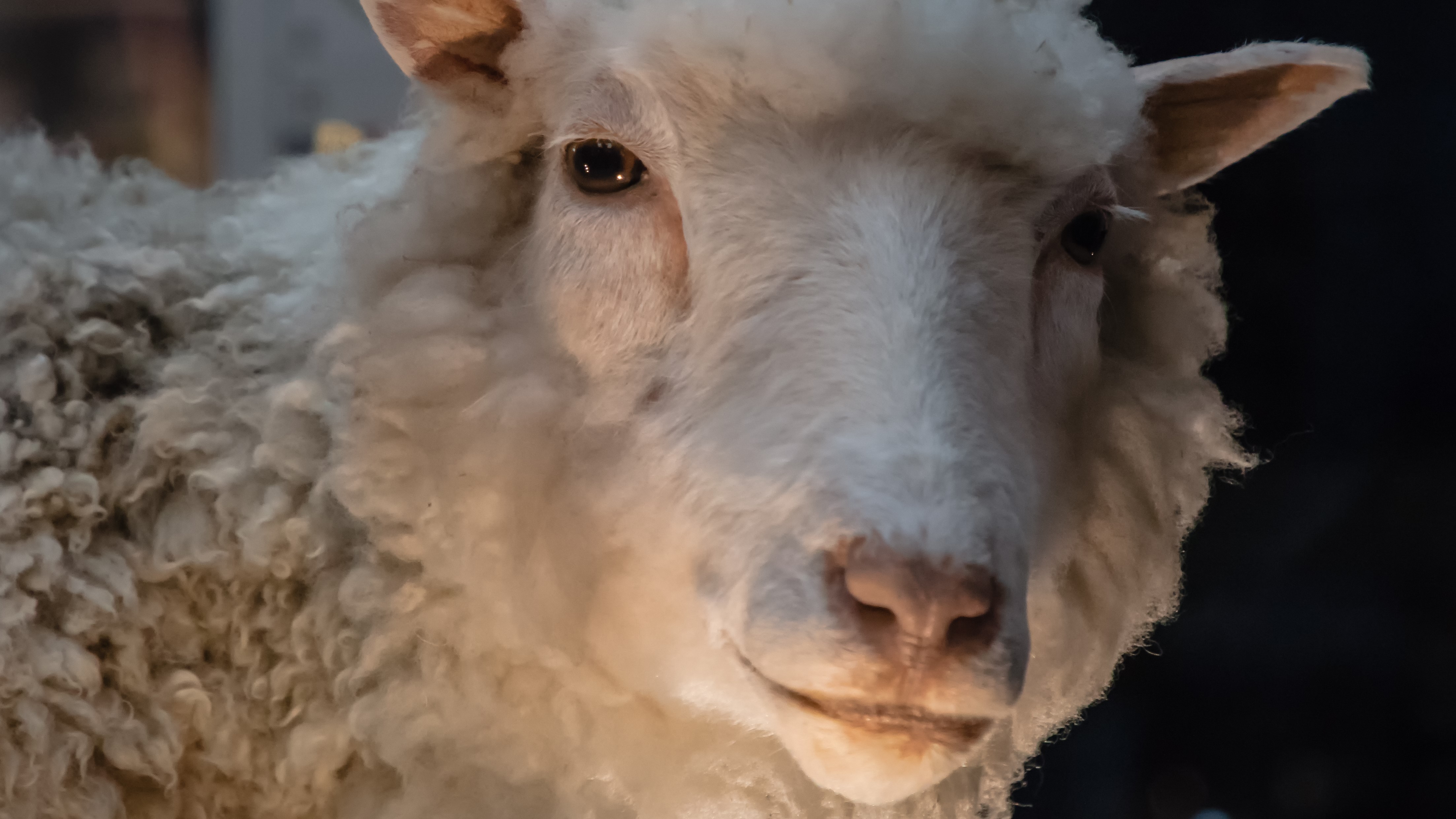 london road, CC BY 2.0 <https://creativecommons.org/licenses/by/2.0>, via Wikimedia Commons