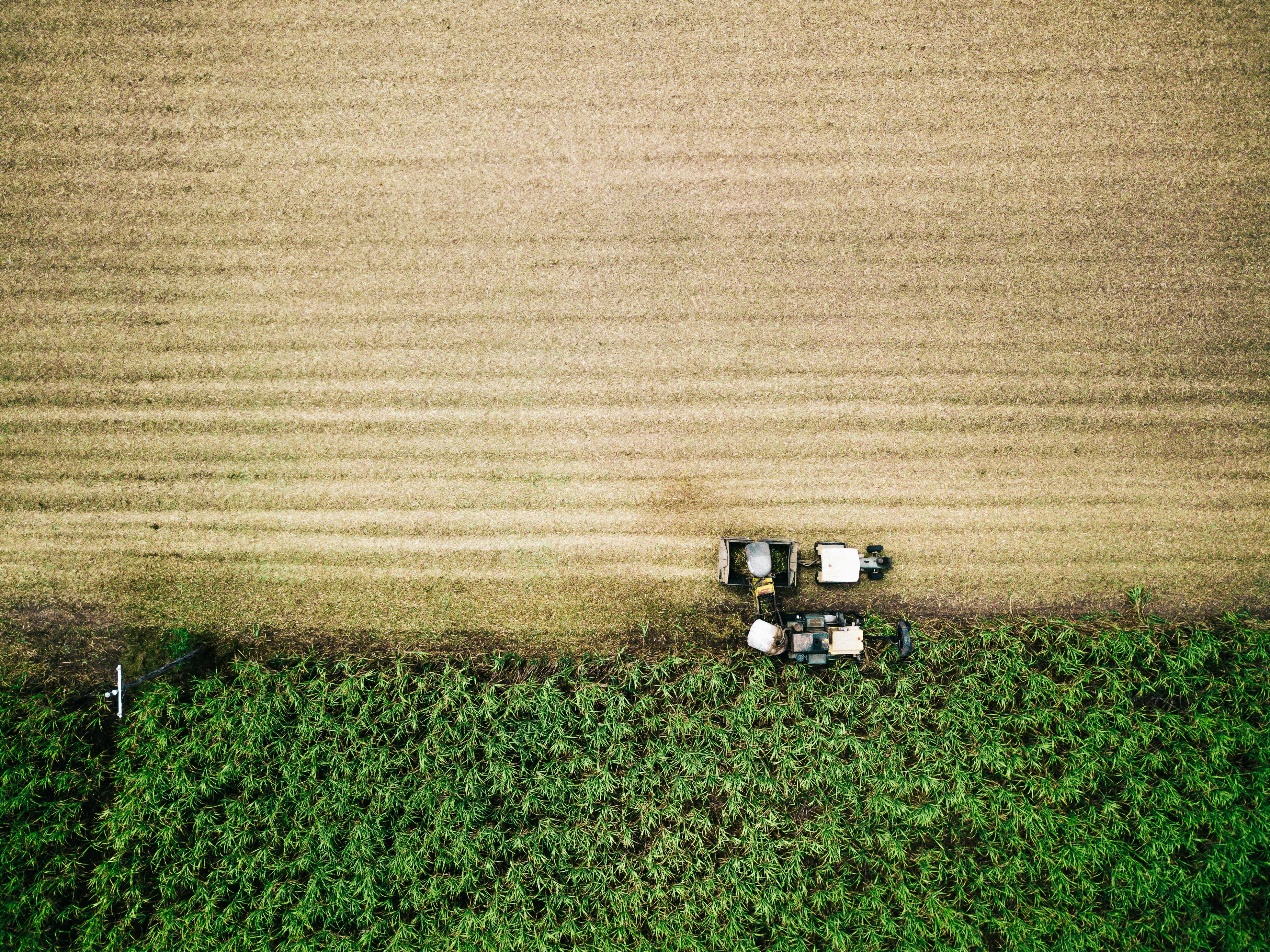 Photo by Josh Withers on Unsplash