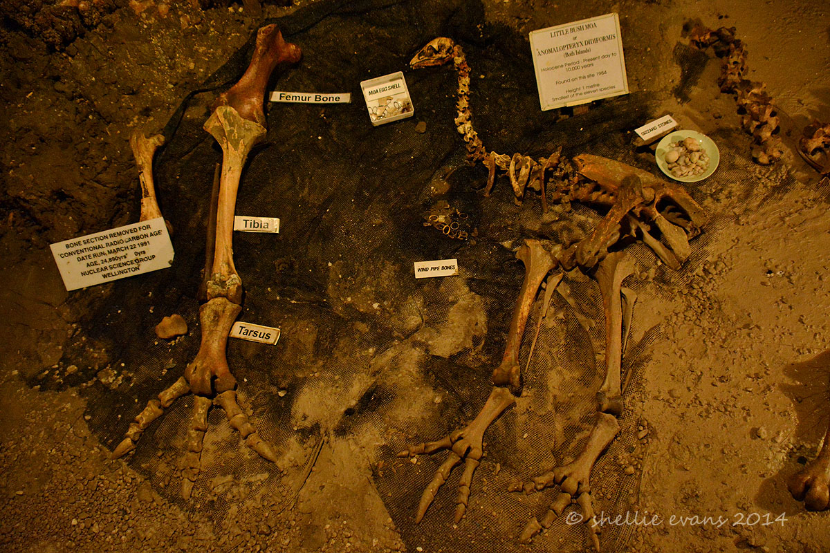 Photo by Shellie on Flickr (CC BY-NC-ND 2.0)