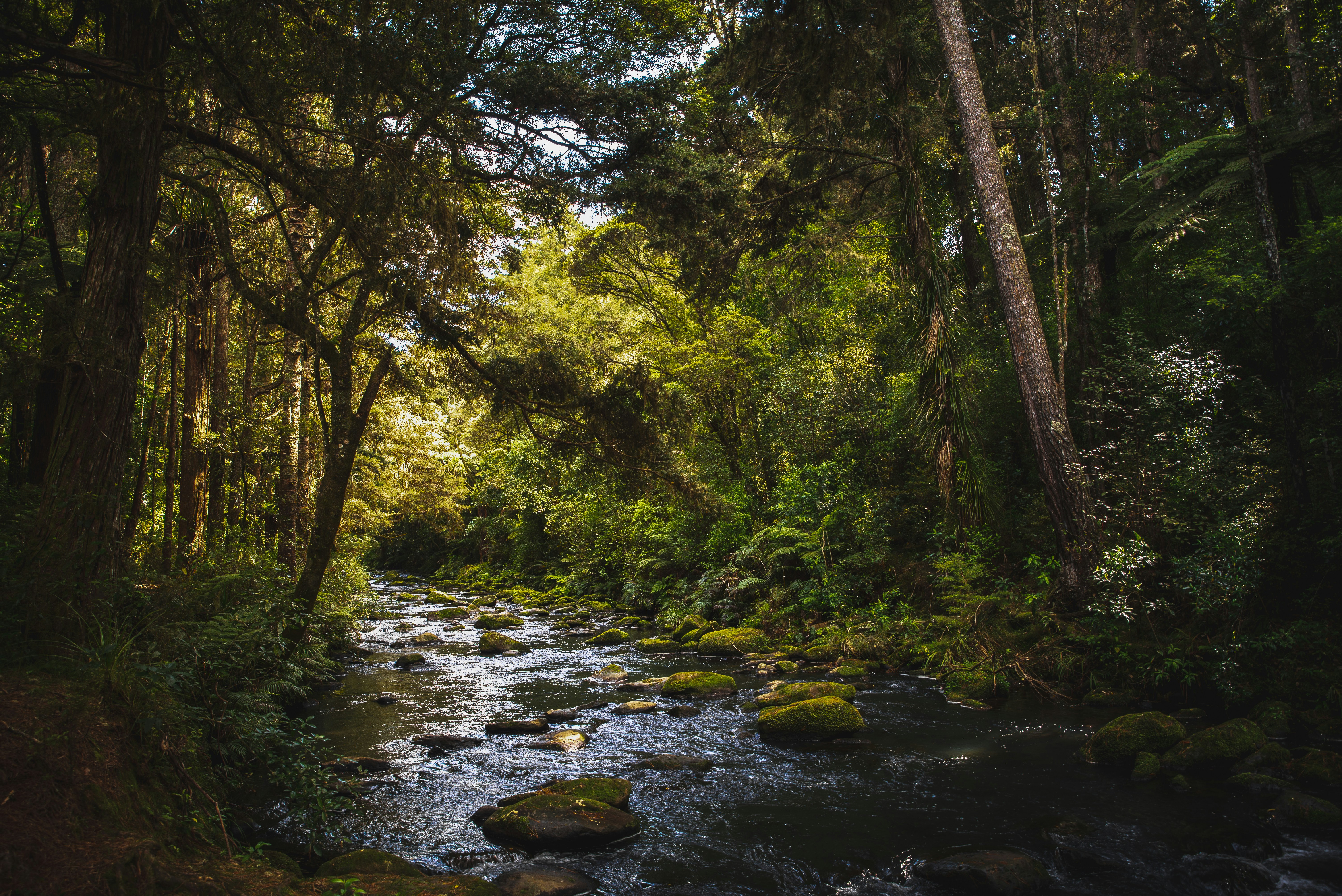 Image by Casey Horner on UnSplash