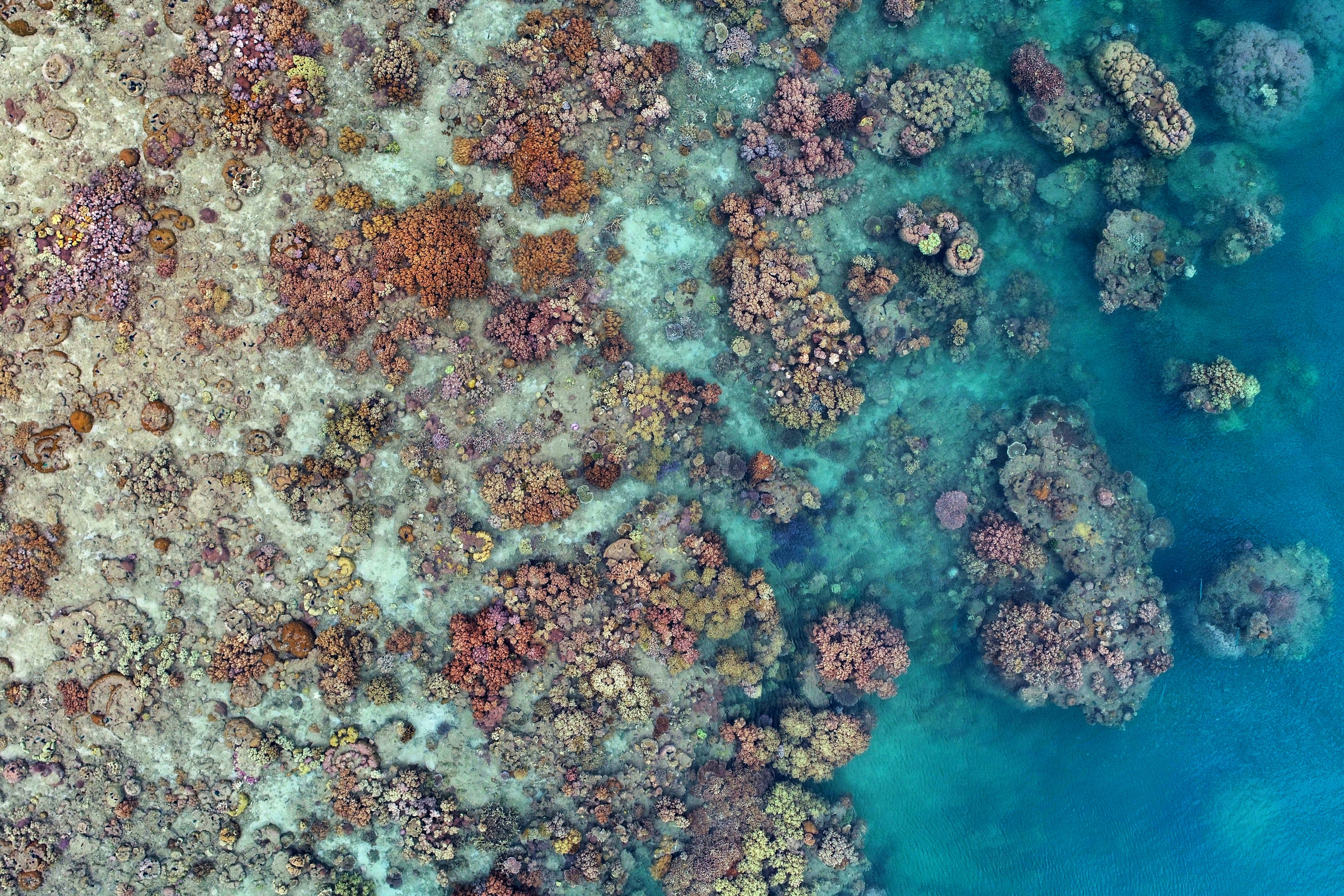 Photo by GeoNadir on Unsplash