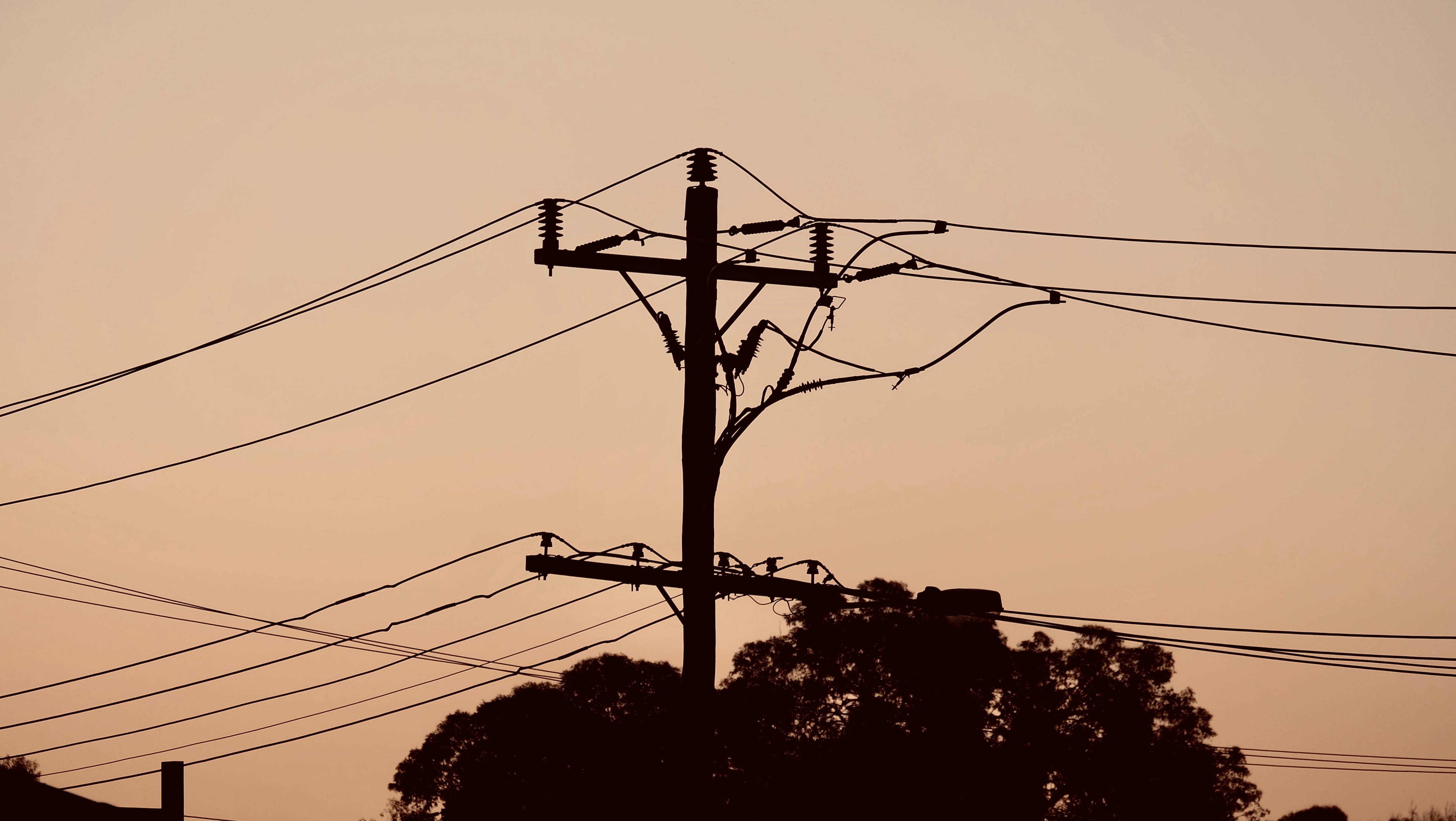 Photo by Max Smith on Unsplash