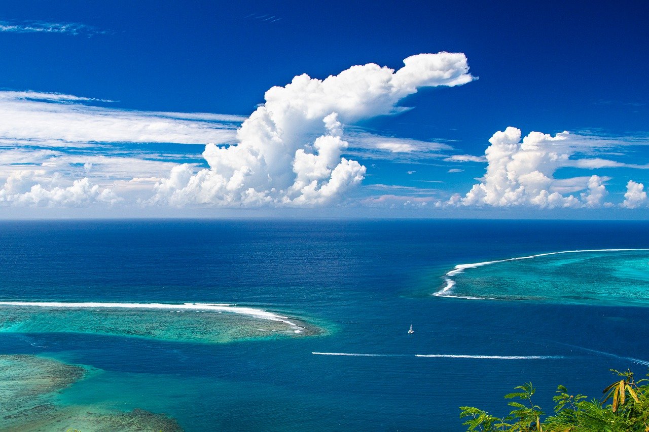 Image by xiSerge from Pixabay
