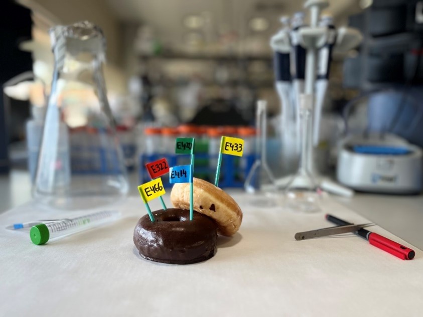 Image Caption: Most of the ultraprocessed food items consumed nowadays contain emulsifiers in their composition.  Image Credit: Júlia Fos-Domènech & Maria Milà-Guasch (CC-BY 4.0, https://creativecommons.org/licenses/by/4.0/)