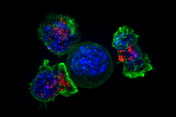 National Institutes of Health