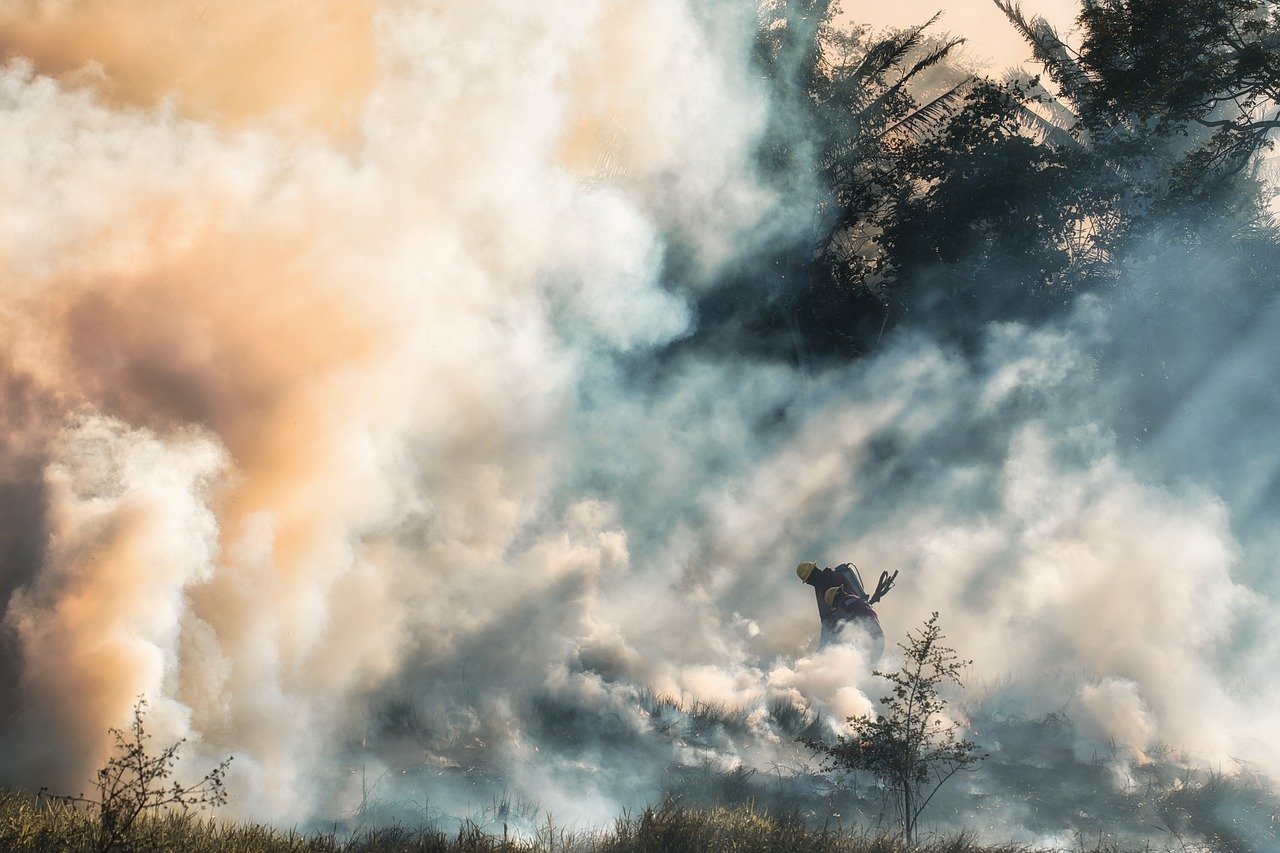 Image by Ronald Plett from Pixabay