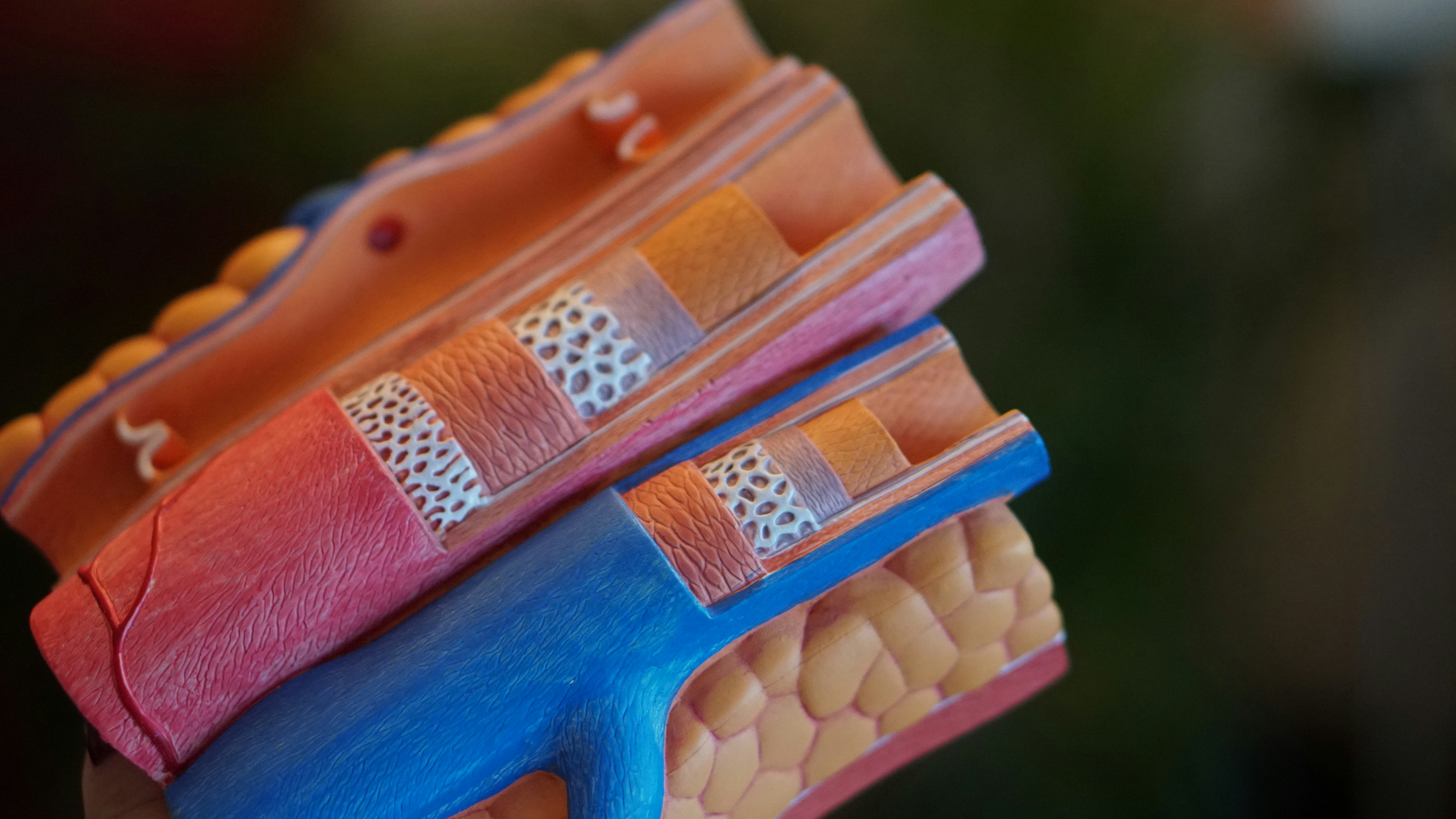 Photo by Robina Weermeijer on Unsplash