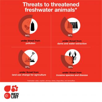 Freshwater infographic 3